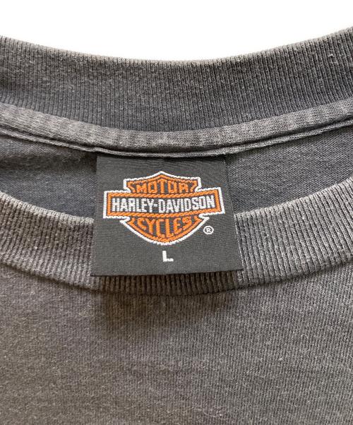 HARLEY-DAVIDSON（ハーレーダビッドソン）HARLEY-DAVIDSON (ハーレーダビッドソン) 90s フレイムプリントロングスリーブカットソー グレー サイズ:Lの古着・服飾アイテム