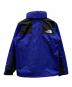 THE NORTH FACE (ザ ノース フェイス) マウンテンレインテックスジャケット ブルー サイズ:Ⅼ：7000円