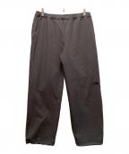 THE NORTH FACEザ ノース フェイス）の古着「ヴェイグラントロングパンツ」｜グレー