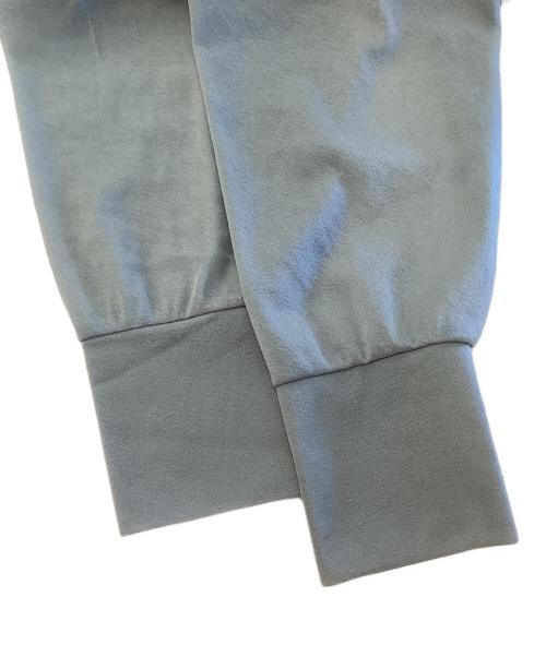 CLANE（クラネ）CLANE (クラネ) W FACE CENTER LINE SHEER CARDIGAN ブルー サイズ:Freeの古着・服飾アイテム