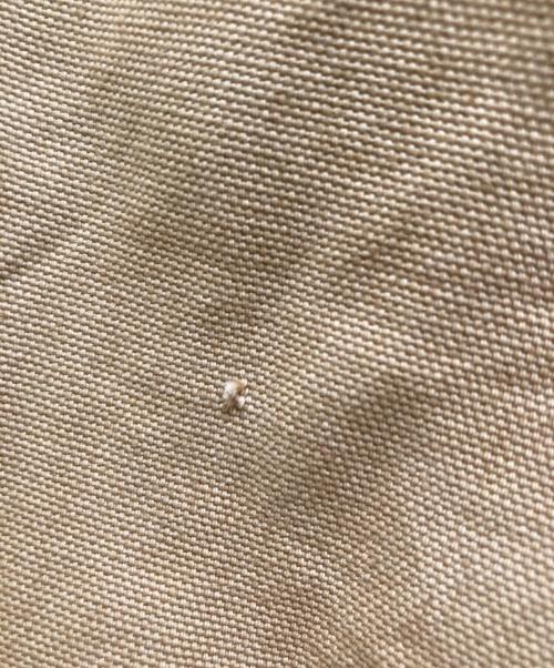 CarHartt（カーハート）CarHartt (カーハート) 企業ロゴ ダックジャケット ブラウン サイズ:2ｘｌの古着・服飾アイテム