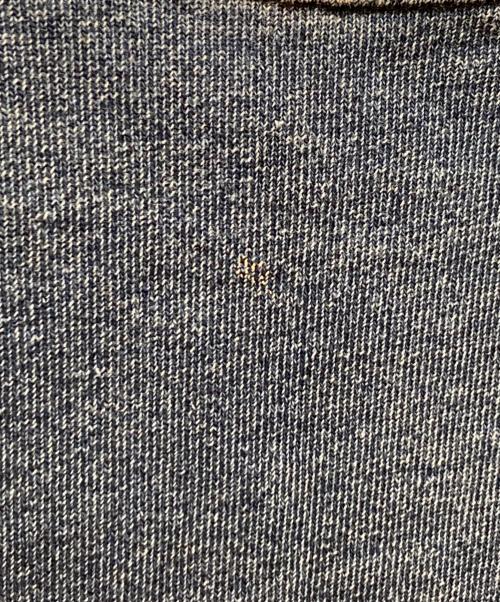 stussy（ステューシー）stussy (ステューシー) スウェットデニムTシャツ インディゴ サイズ:Mの古着・服飾アイテム