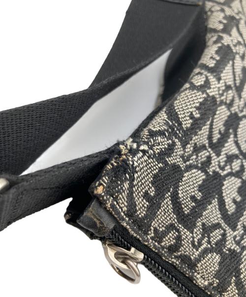Christian Dior（クリスチャン ディオール）Christian Dior (クリスチャン ディオール) トロッター ショルダーバッグ グレー×ブラックの古着・服飾アイテム