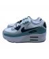 NIKE (ナイキ) エア マックス 90 LV8 ホワイト×グレー サイズ:25：10000円
