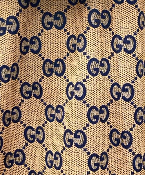 GUCCI（グッチ）GUCCI (グッチ) GGテクニカルジャー ハーフジップ プルオーバーパーカー マルチカラー サイズ:Ｌの古着・服飾アイテム