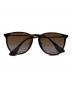 RAY-BAN（レイバン）の古着「ERIKA CLASSICサングラス」｜ブラウン