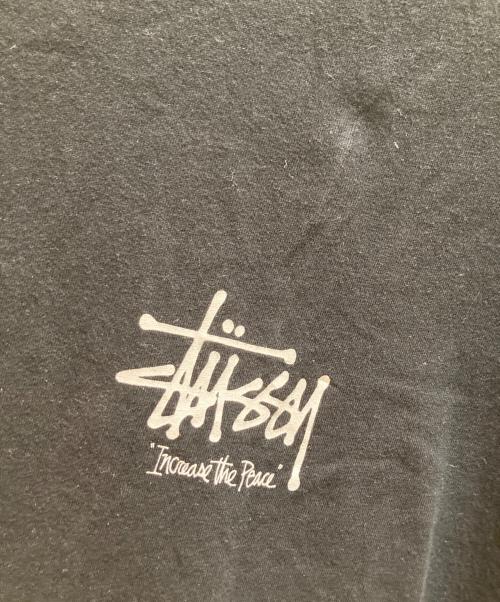 stussy（ステューシー）stussy (ステューシー) ITP LION TEE ブラック サイズ:sの古着・服飾アイテム
