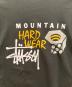 中古・古着 stussy (ステューシー) MOUNTAIN HARD WEAR (マウンテンハードウェア) コラボロゴプリントカットソー グレー サイズ:L：15000円
