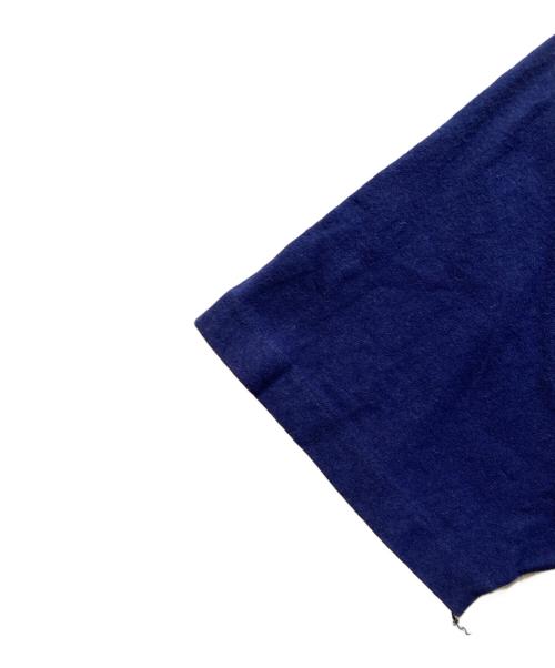 Hanes（ヘインズ）Hanes (ヘインズ) 90S 星座Tシャツ ブルー サイズ:Mの古着・服飾アイテム
