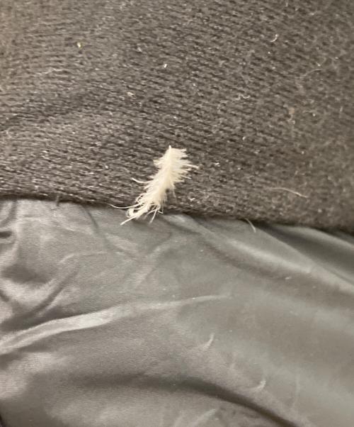 POLO RALPH LAUREN（ポロ・ラルフローレン）POLO RALPH LAUREN (ポロ・ラルフローレン) ファー付ダウンジャケット ブラック サイズ:Mの古着・服飾アイテム