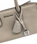 中古・古着 MICHAEL KORS (マイケルコース) SCARLETT レザー クロスボディ エクストラスモール ベージュ：10000円