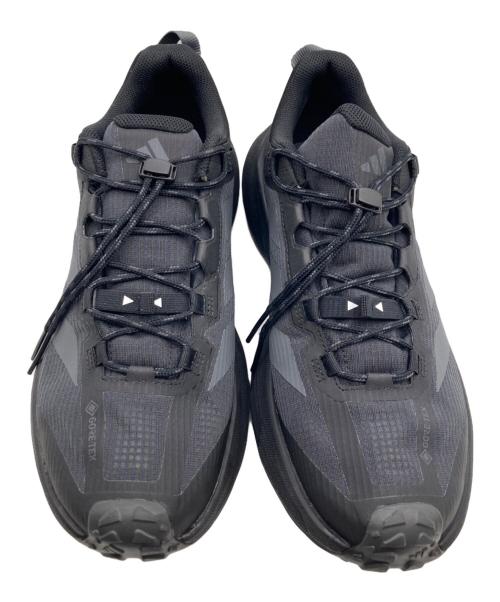 adidas（アディダス）adidas (アディダス) テレックス フリーハイカー SL ゴア-テックス ハイキング ブラック サイズ:27.5の古着・服飾アイテム