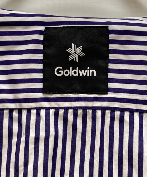 GOLDWIN（ゴールドウイン）GOLDWIN (ゴールドウイン) ストライプシャツ ブルー サイズ:Lの古着・服飾アイテム