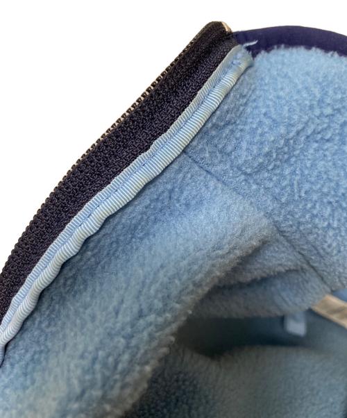 Patagonia SYNCHILLA（パタゴニア シンチラ）Patagonia SYNCHILLA (パタゴニア シンチラ) シンチラフリースプルオーバー ブルー サイズ:Lの古着・服飾アイテム