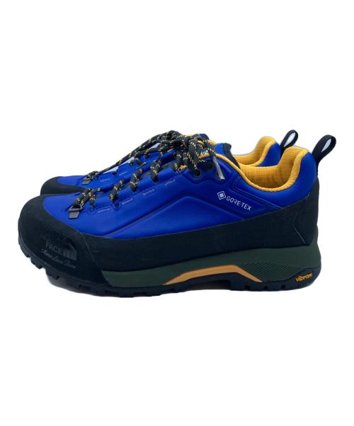 THE NORTH FACE（ザ ノース フェイス）THE NORTH FACE (ザ ノース フェイス) Aimé Leon Dore (エメレオンドレ) ゴアテックスハイキングシューズ ブルー サイズ:27cmの古着・服飾アイテム