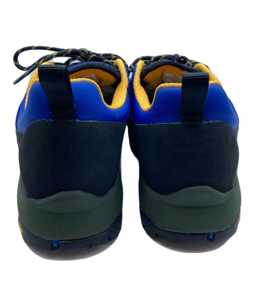 THE NORTH FACE（ザ ノース フェイス）THE NORTH FACE (ザ ノース フェイス) Aimé Leon Dore (エメレオンドレ) ゴアテックスハイキングシューズ ブルー サイズ:27cmの古着・服飾アイテム