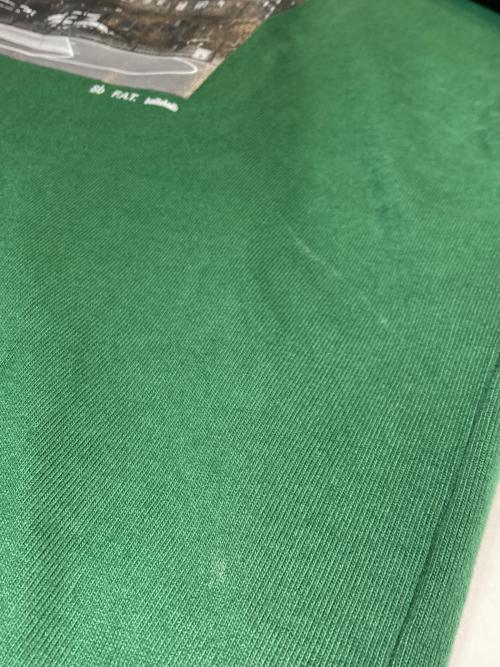FAT（エフエーティー）FAT (エフエーティー) フォトプリントＴシャツ グリーン サイズ:SKINNYの古着・服飾アイテム