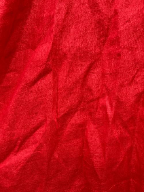 BEARDSLEY（ビアズリー）BEARDSLEY (ビアズリー) リネン前後ブラウス レッド サイズ:Fの古着・服飾アイテム