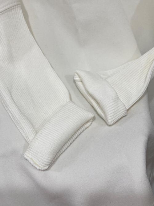 GALLARDA GALANTE（ガリャルダガランテ）GALLARDA GALANTE (ガリャルダガランテ) ジョーゼットコンビブラウス ホワイト サイズ:Fの古着・服飾アイテム