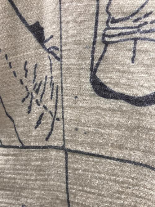 PAMM（パム）PAMM (パム) たなかみさき 見せられる日記のシャツ ベージュ サイズ:FREEの古着・服飾アイテム