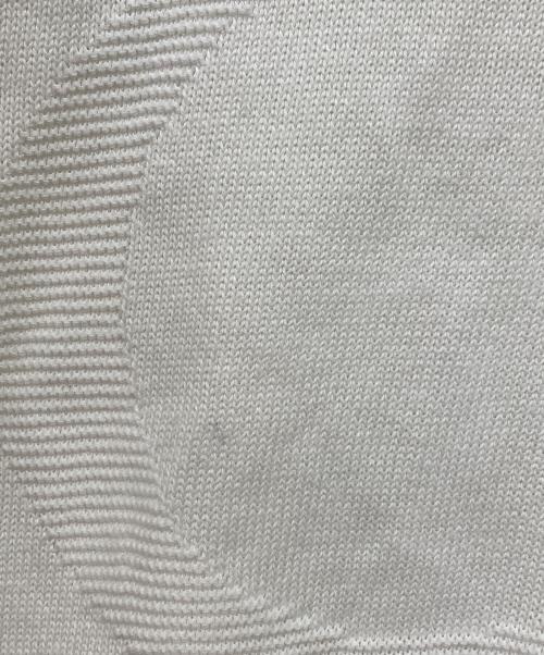 Christian Dior Sports（クリスチャン ディオールスポーツ）Christian Dior Sports (クリスチャン ディオールスポーツ) ニットポロシャツ ホワイト サイズ:Lの古着・服飾アイテム