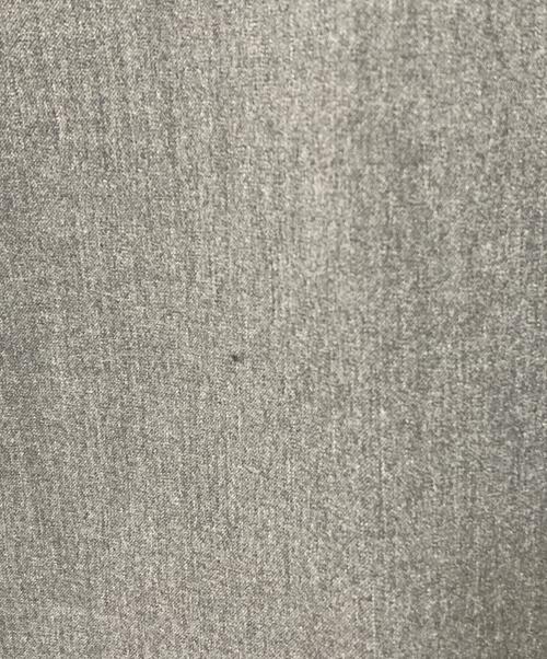 STUDIO DOE（スタジオドゥ）STUDIO DOE (スタジオドゥ) TODAYFUL (トゥデイフル) Cocoon Wide Trousers グレー サイズ:36の古着・服飾アイテム