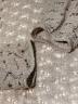 中古・古着 TODAYFUL (トゥデイフル) Jacquard Long T-shirt ベージュ サイズ:F：6000円