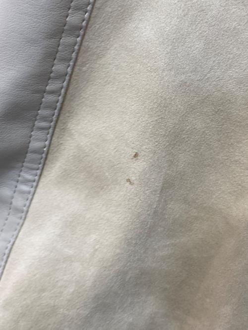 MURUA（ムルーア）MURUA (ムルーア) レースアップコンビジャケット アイボリー サイズ:Fの古着・服飾アイテム