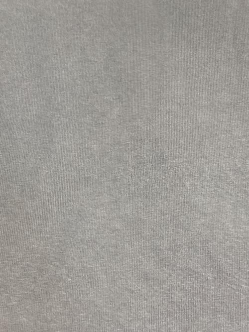 stussy（ステューシー）stussy (ステューシー) プリントTシャツ グレー サイズ:Mの古着・服飾アイテム