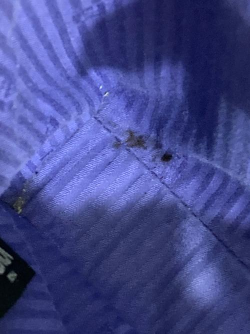 FENDI（フェンディ）FENDI (フェンディ) 2Joursバッグ パープルの古着・服飾アイテム