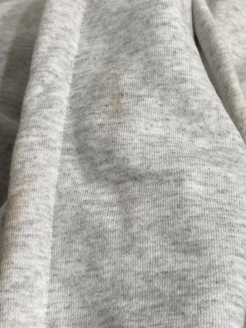 stussy（ステューシー）stussy (ステューシー) BASIC STUSSY HOOD グレー サイズ:Lの古着・服飾アイテム