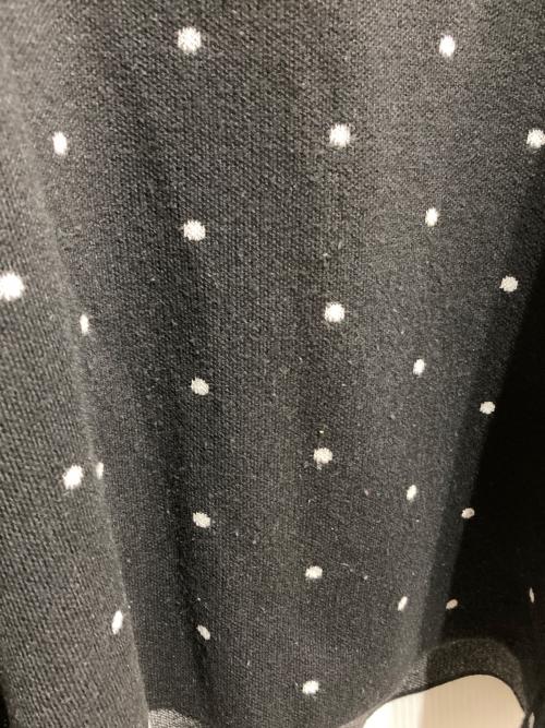 BEARDSLEY（ビアズリー）BEARDSLEY (ビアズリー) チュチュキャミニット ドット柄 ブラック サイズ:Fの古着・服飾アイテム