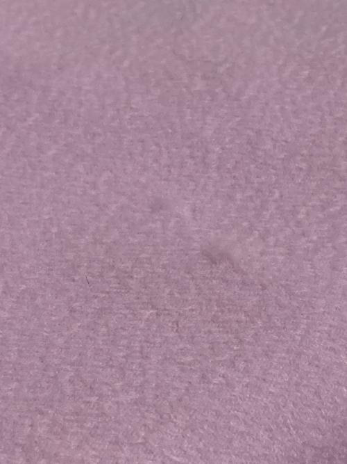 LORO PIANA（ロロピアーナ）LORO PIANA (ロロピアーナ) カシミヤストール ラベンダーの古着・服飾アイテム