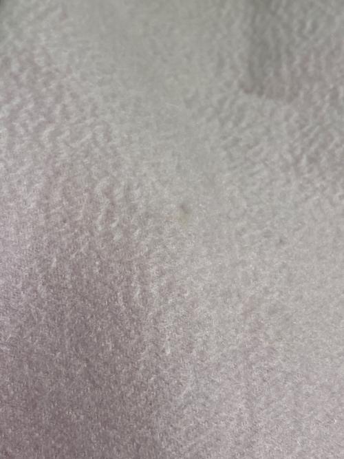 LORO PIANA（ロロピアーナ）LORO PIANA (ロロピアーナ) カシミヤストール ラベンダーの古着・服飾アイテム