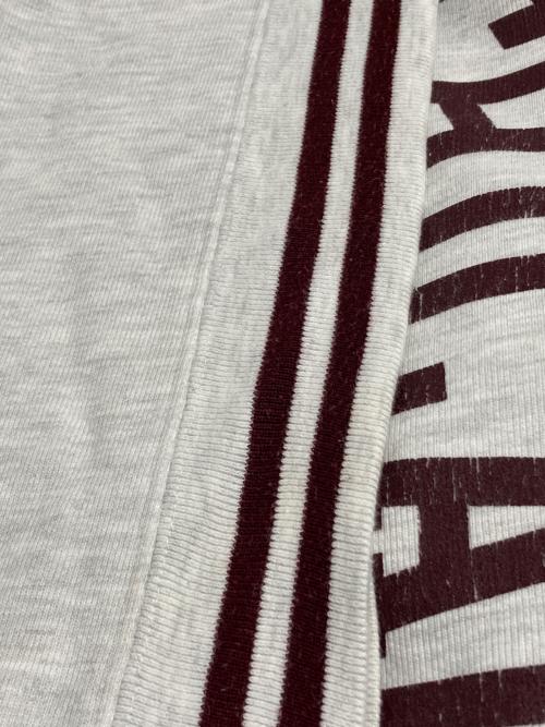 Champion REVERSE WEAVE（チャンピオン リバース ウィーブ）Champion REVERSE WEAVE (チャンピオン リバース ウィーブ) CHICAGOカレッジロゴプルオーバー ホワイト サイズ:Lの古着・服飾アイテム