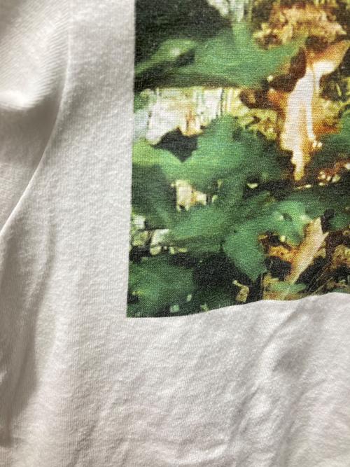 SUPREME（シュプリーム）Supreme (シュプリーム) COMME des GARCONS JUNYA WATANABE MAN (コムデギャルソンジュンヤワタナベマン) Nature Tee ホワイト サイズ:Sの古着・服飾アイテム