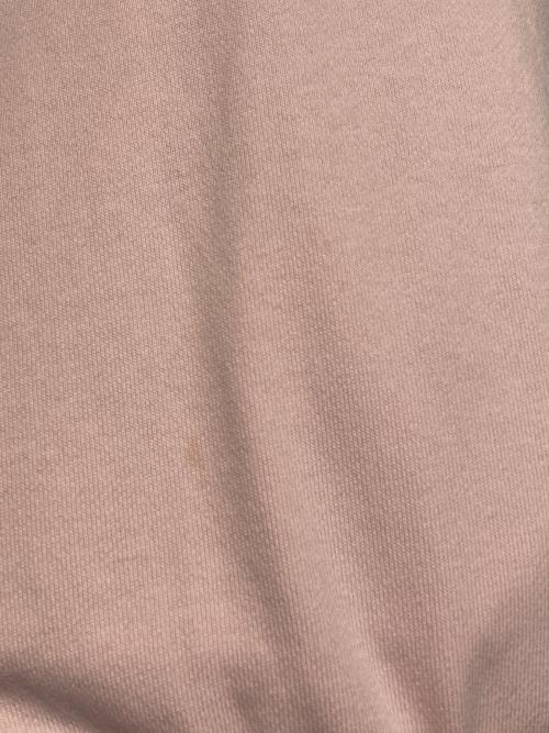 Snidel（スナイデル）Snidel (スナイデル) NYBG エンブロイダリーフーディー ピンク サイズ:ONEの古着・服飾アイテム