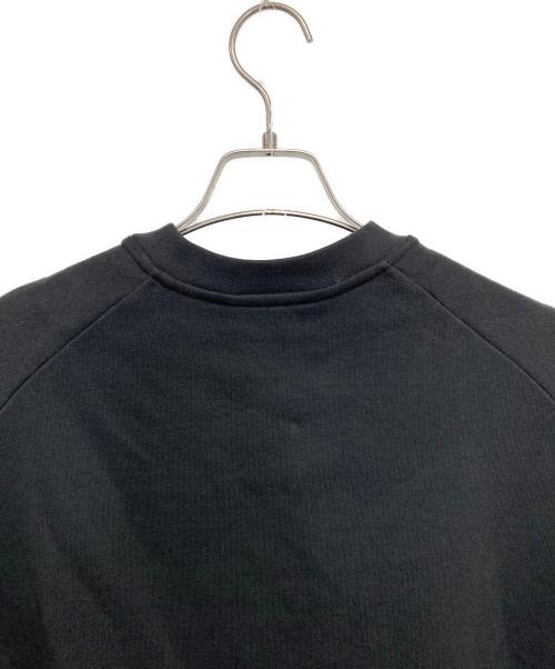 ARC'TERYX（アークテリクス）ARC'TERYX (アークテリクス) Emblem Fleece Crew/エンブレムフリースクルー ブラック サイズ:Mの古着・服飾アイテム