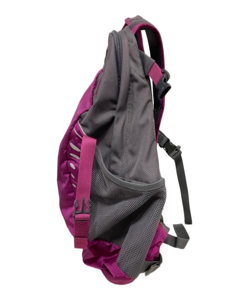 OSPREY（オスプレー）OSPREY (オスプレー) Dayliteバックパック パープルの古着・服飾アイテム