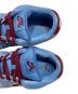 中古・古着 NIKE SB (ナイキエスビー) ローカットスニーカー　SB DUNK LOW PREMIUM ブルー サイズ:25.5cm：8000円
