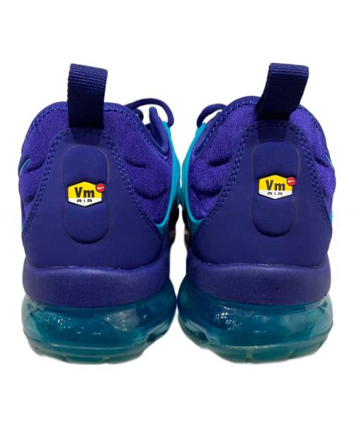 NIKE（ナイキ）NIKE (ナイキ) AIR VAPORMAX PLUS ブルー サイズ:25.5の古着・服飾アイテム