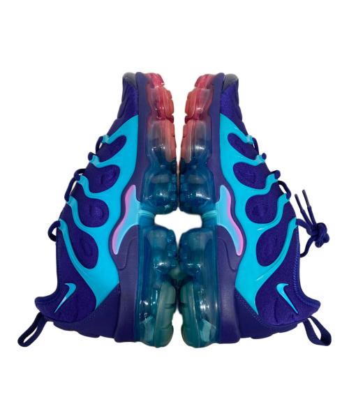 NIKE（ナイキ）NIKE (ナイキ) AIR VAPORMAX PLUS ブルー サイズ:25.5の古着・服飾アイテム