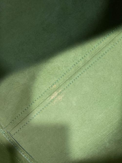 LOUIS VUITTON（ルイ ヴィトン）LOUIS VUITTON (ルイ ヴィトン) エピ スピーディ35 ハンドバッグ グリーンの古着・服飾アイテム