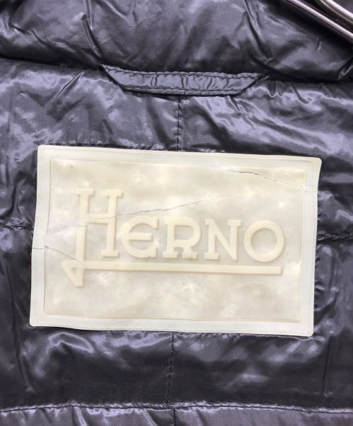 HERNO（ヘルノ）HERNO (ヘルノ) ダウンコート ブラウン サイズ:44の古着・服飾アイテム