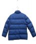 THE NORTH FACE (ザ ノース フェイス) ダウンジャケット ブルー サイズ:M：5000円