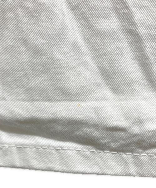 Dickies（ディッキーズ）Dickies (ディッキーズ) SHERWIN WILLIAMS (シャーウィン ウィリアムズ) カーゴパンツ ホワイト サイズ:不明の古着・服飾アイテム