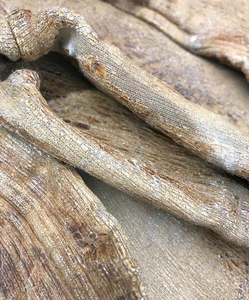 DIESEL（ディーゼル）DIESEL (ディーゼル) P タロ カーゴ トラック パンツ ブラウン サイズ:Lの古着・服飾アイテム