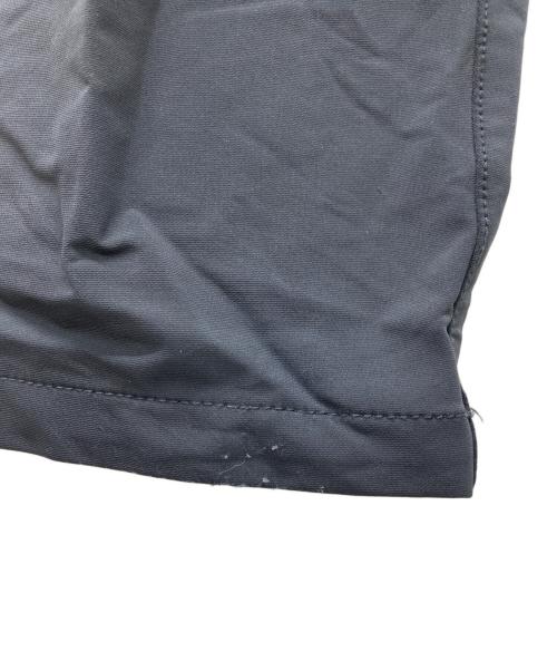 THE NORTH FACE（ザ ノース フェイス）THE NORTH FACE (ザ ノース フェイス) ALPINE LIGHT PANT ブラック サイズ:Lの古着・服飾アイテム