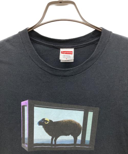 SUPREME（シュプリーム）Supreme (シュプリーム) Damien Hirst Tee ブラック サイズ:Sの古着・服飾アイテム