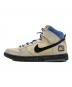 NIKE (ナイキ) Acapulco Gold (アカプルコ ゴールド) DUNK HIGH PREMIUM SB マルチカラー サイズ:US10.5：8000円